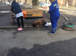 На помощь бомжам Таганрога приходит только «скорая помощь»