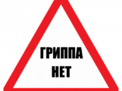 Сергей Мусиенко отчитался: в Таганроге грипа нет