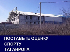 Решение судьбы недостроенного катка стало главной проблемой спорта в Таганроге: итоги 2016 года