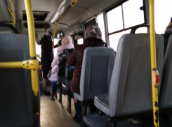 Только 6% опрошенных таганрожцев верят, что администрация может разорвать транспортный контракт с перевозчиком 