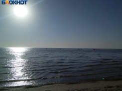 Заморный период в Таганрогском заливе: рыба в опасности