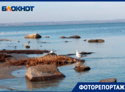 Как выглядит ранняя весна в Таганроге