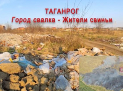 Житель Таганрога  назвал свиньями тех, кто вываливает мусор на окраине города