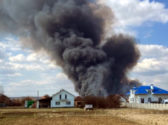За пал сухой травы в Таганроге и области — до 800 тысяч рублей штрафа