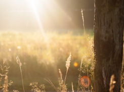 День осеннего равноденствия: советы для таганрожцев на 22 сентября