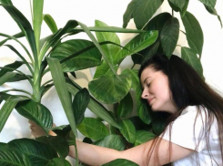 Почему комнатные растения - тренд 2020?