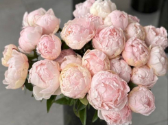 ⁠Романтики против скептиков: еще один повод поздравить любимых⁠  ⁠