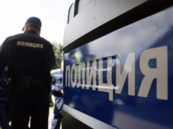 Псевдо-бизнесмен из Троицкого, решив не делится прибылью, подрался с полицейским