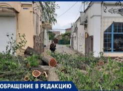 «Терпеть уже нет сил», -таганрожцы жалуются, что ремонт центральной улицы мешает им жить