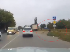 В Таганроге стая собак гналась за школьником