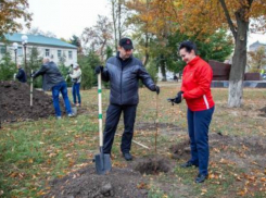 Руководители  Таганрога славно поработали в День древонасаждений