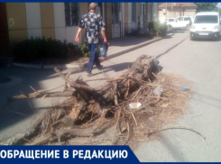 Больше недели лежит на дороге сухое дерево, но для администрации города «его там нет»