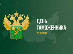 Сегодня отмечают День таможенника России