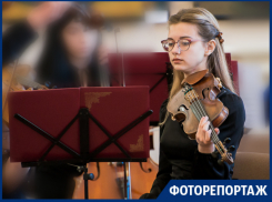 Музыка и живопись слились в Таганроге воедино