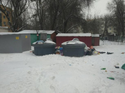 «Почему мы должны платить за вывоз чужого мусора?», спрашивает таганрожец