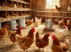 15 января — Сильвестров день и память Серафима Саровского: что отмечают таганрожцы