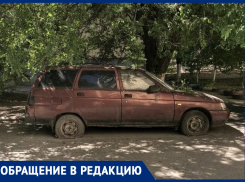 Бесхозная машина не даёт спилить сухое дерево, которое грозит покалечить таганрожцев