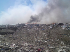 На Таганрогской свалке найдено тело младенца