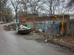 В УК «Приморское» объяснили ситуацию со свалкой и мусорными контейнерами