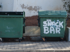 «Это с Донбасса»: в Таганроге фальшивая ветслужба «опознала» головы в мусорном баке