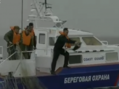 «Птичку жалко» стало суровым пограничникам в Таганрогском заливе