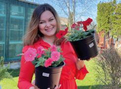 Семь золотых правил цветения петунии с апреля до заморозков