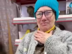 Сотни таганрожцев решили помочь женщине, которая спасает бездомных кошек