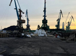 Таганрогский морской порт оштрафован на 200 тысяч рублей за нарушения при перевалке угля