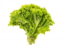 Таганрогским огородникам на заметку: когда сажать зелень в мае