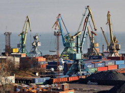 В порту Таганрога задержали контрафактный подсолнечник 
