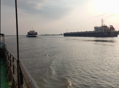 Таганрогский залив исследовали в заморный период учёные РАН: их выводы опровергают фундаментальную версию?