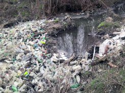 В Таганроге администрация установила мусорный бак на берегу реки: что из этого вышло 
