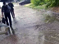 Чистка ливневок: фотоотчеты есть, а результат — нет?