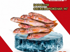 Товар дня: Барабуля свежемороженная за 499,90 ₽ / кг!