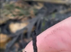 «Мазут» на берегу у Таганрога оказался пеплом