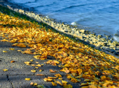 В выходные в Таганроге будет тепло