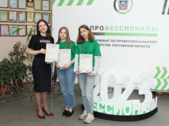 Студентки Таганрога предложили проект по улучшению туристической привлекательности города