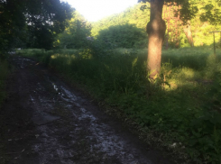 Таганрогскому депутату Бородину предложили взять метлу в руки