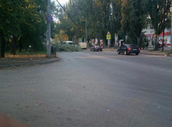 Упавшее дерево заблокировало проезжую часть в Таганроге