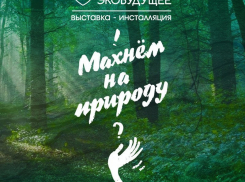  «Махнем на природу?» - выставка-инсталляция пройдет в Таганроге