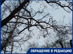 Размышления над безразличием чиновников Таганрога к проблемам жителей