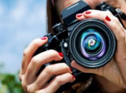 Набирает обороты скандал вокруг таганроженки присвоившей себе чужую фотоработу