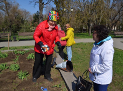 Таганрожцы высадили 80 лучших роз для любимого Чехова у памятника писателю