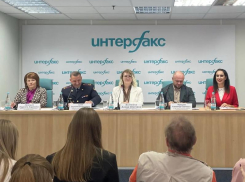 На Дону стартовала кампания для повышения безопасности пешеходов