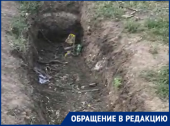 Могила и спиленные деревья - так выглядит в Таганроге детская площадка