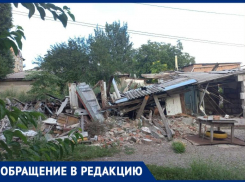 «Надеемся, администрация доведет дело до конца»: крысы поселились на муниципальном участке в центре Таганрога