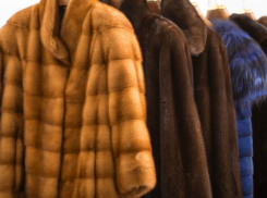 Дела о меховых шубках направлены правоохранителям Ростовской области