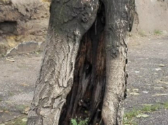 В Таганроге у жителей есть сомнения, что чиновникам можно верить на слово