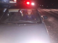 Автоледи,  на  заглохшей машине,  спас экипаж ДПС  Неклиновского района