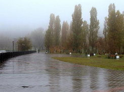 Дожди  в Таганроге зарядят на целую неделю